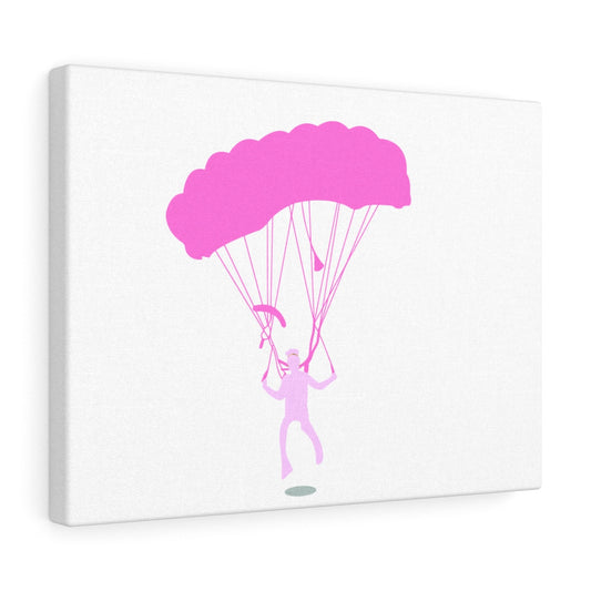 Canvas Gallery Wraps -  Cool Pink
